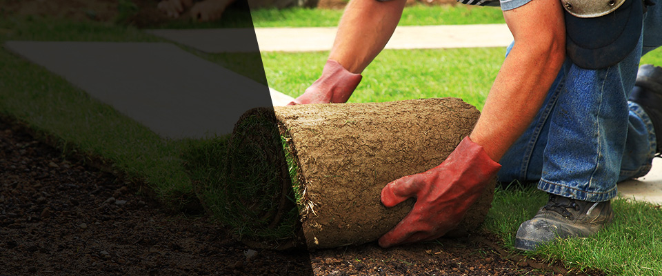 Shorewood Landscapers